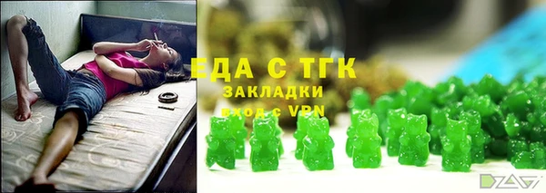 стаф Алзамай