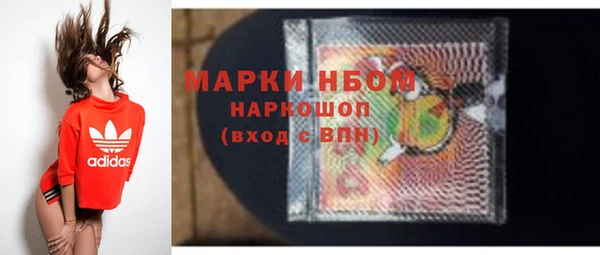стаф Алзамай