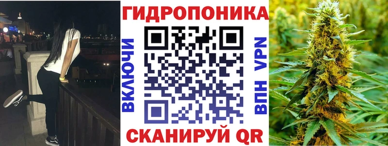 Марихуана OG Kush где найти Котлас